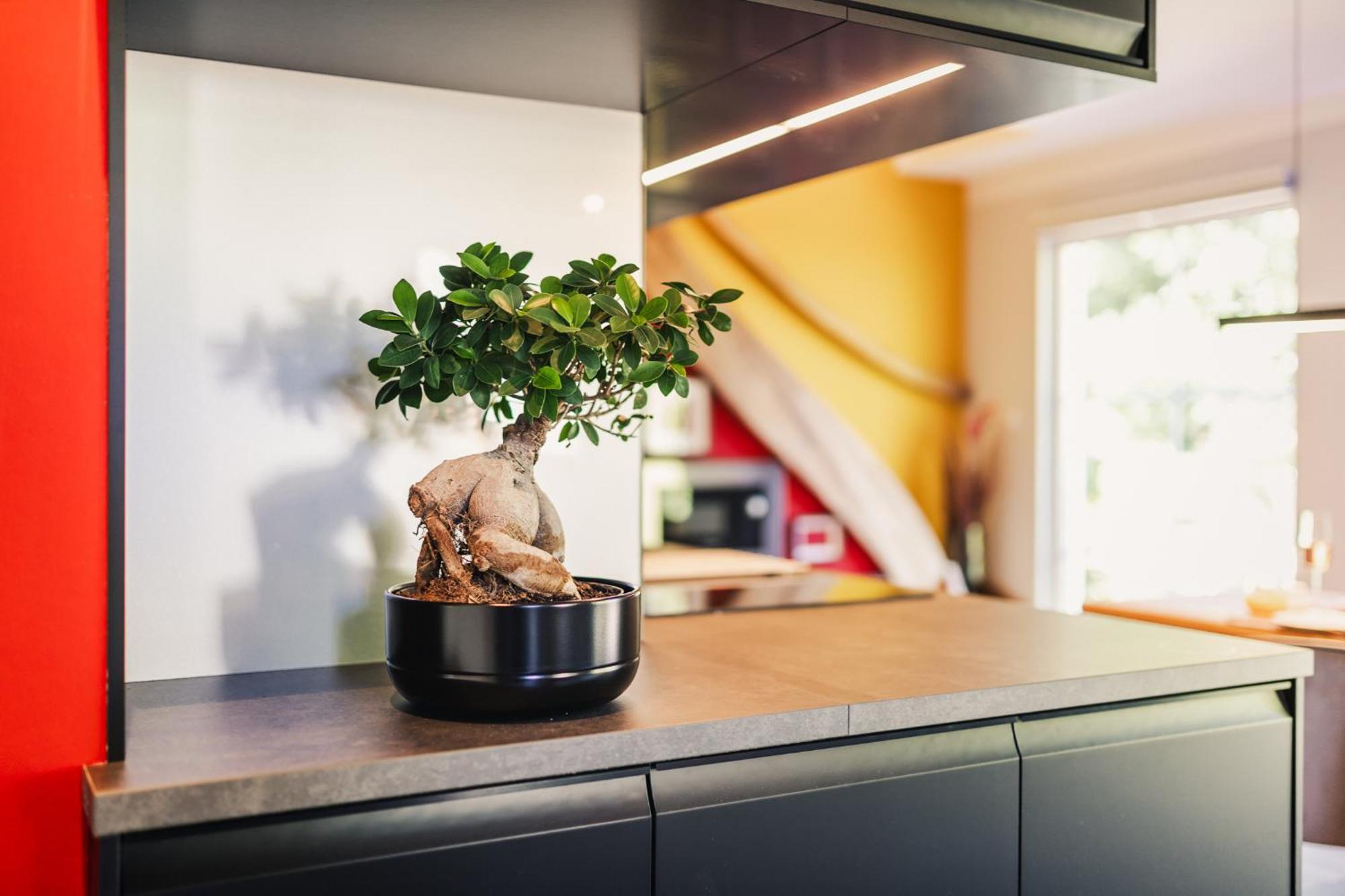 Ferienwohnung "Steernkieker" - Ankommen Und Entspannen クラウスドルフ・メクレンブルク・フォアポンメルン エクステリア 写真